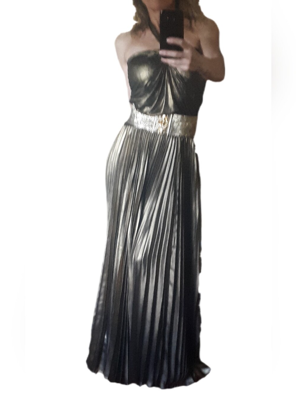 BCBGMaxAzria Metallic Black and Gold Strapless Pleated Skirt Set